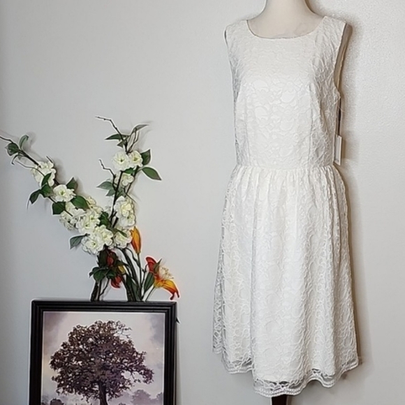 NEW Calvin Klein Ivory Lace Overlay Double Lining Dress Celeb Style Luxury Chic - Picture 13 of 16